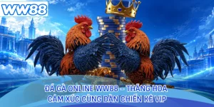 Đá Gà Online WW88 - Thăng Hoa Cảm Xúc Cùng Dàn Chiến Kê Vip