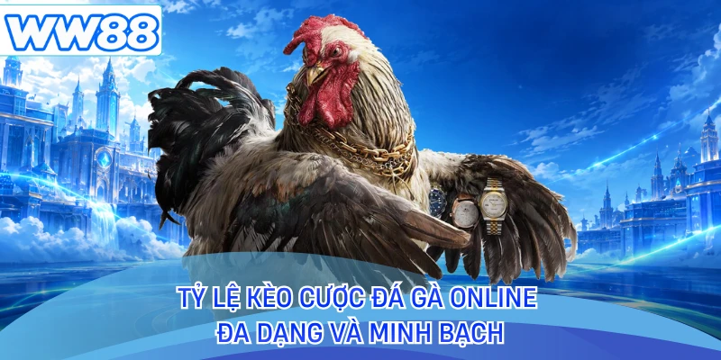 Tỷ lệ kèo cược đá gà online đa dạng và minh bạch